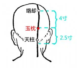 足太阳膀胱经腧穴名称由来