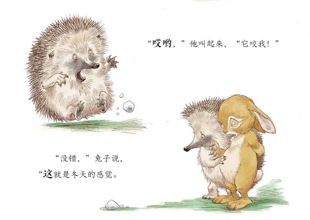这套友谊绘本带给你不一样的体验!_刺猬_兔子_好朋友