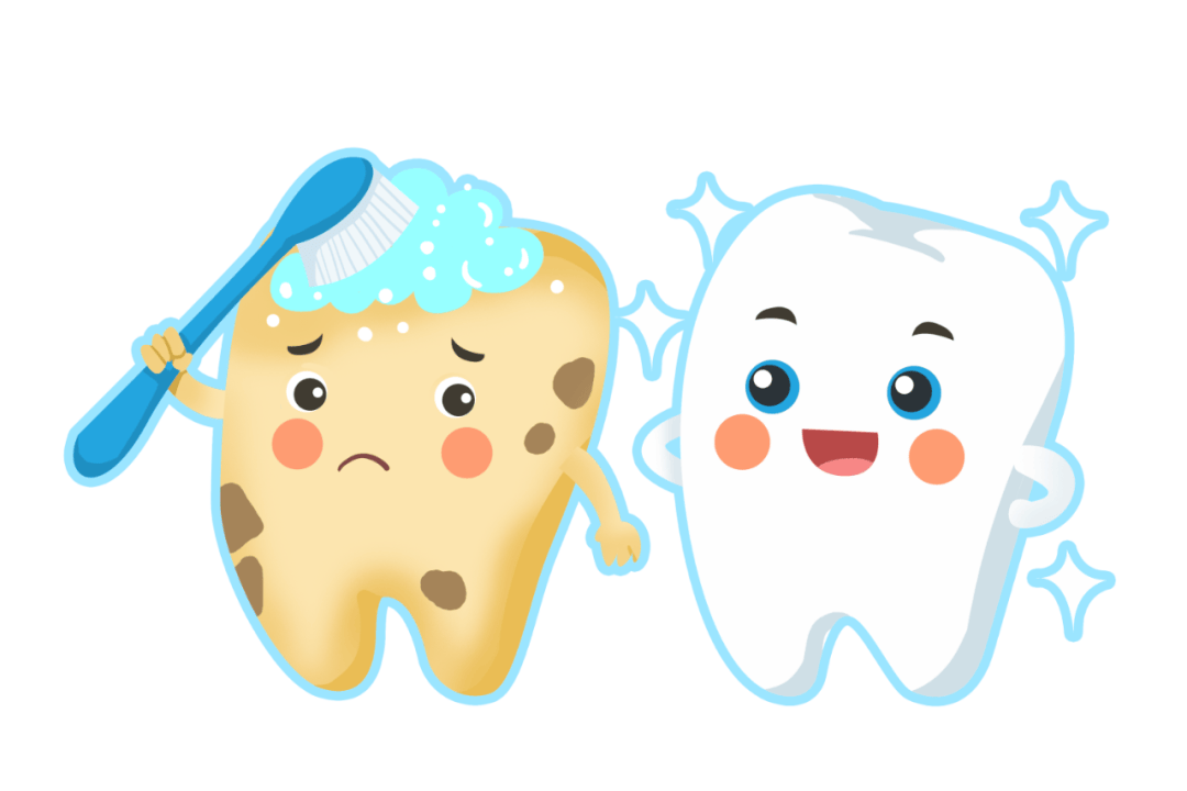 牙齿_影响_缺失