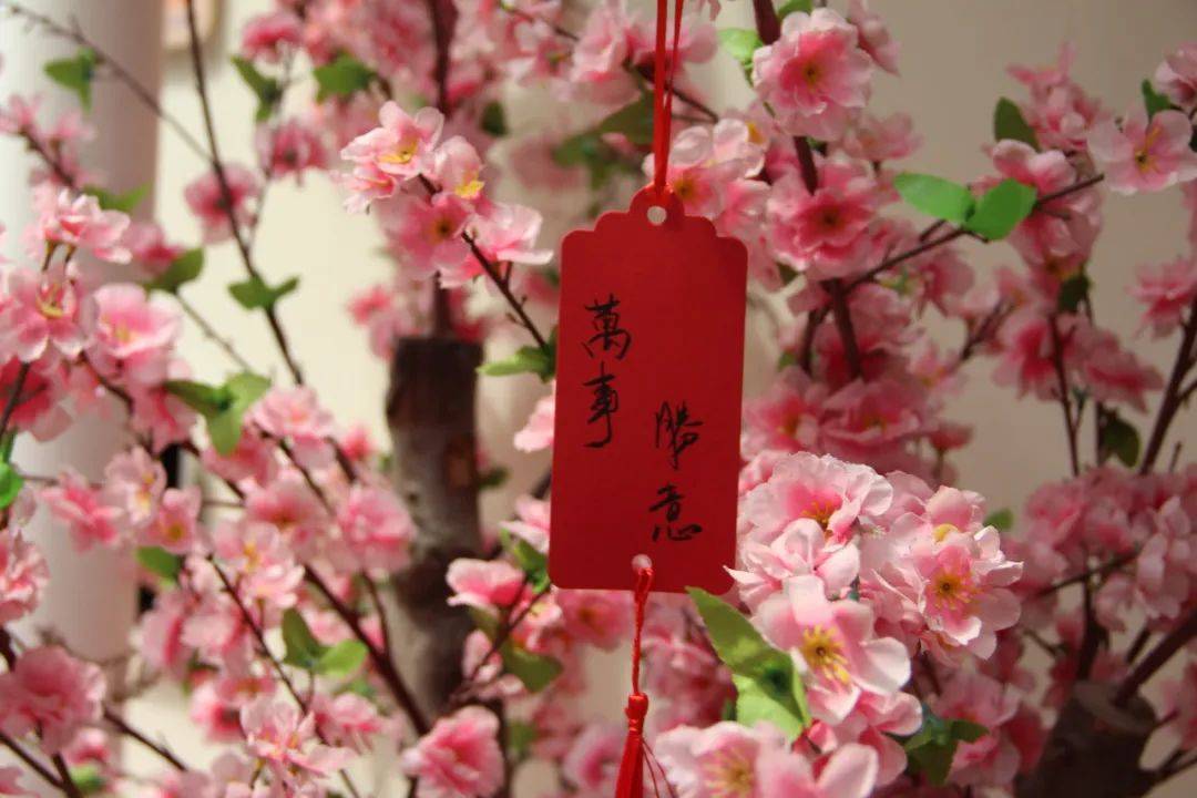 活动回顾怀古匠心体验中华优秀传统文化之美