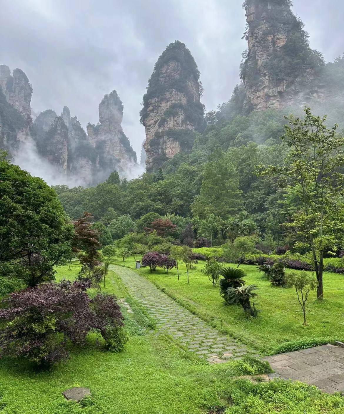 当地特色美食如剁椒鱼头,土家族腊肉等,一顿饭预计在50-100元.