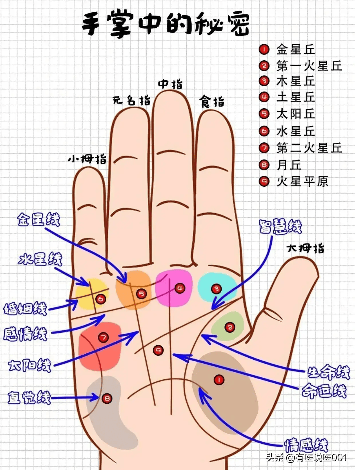 掌心地图照片图片