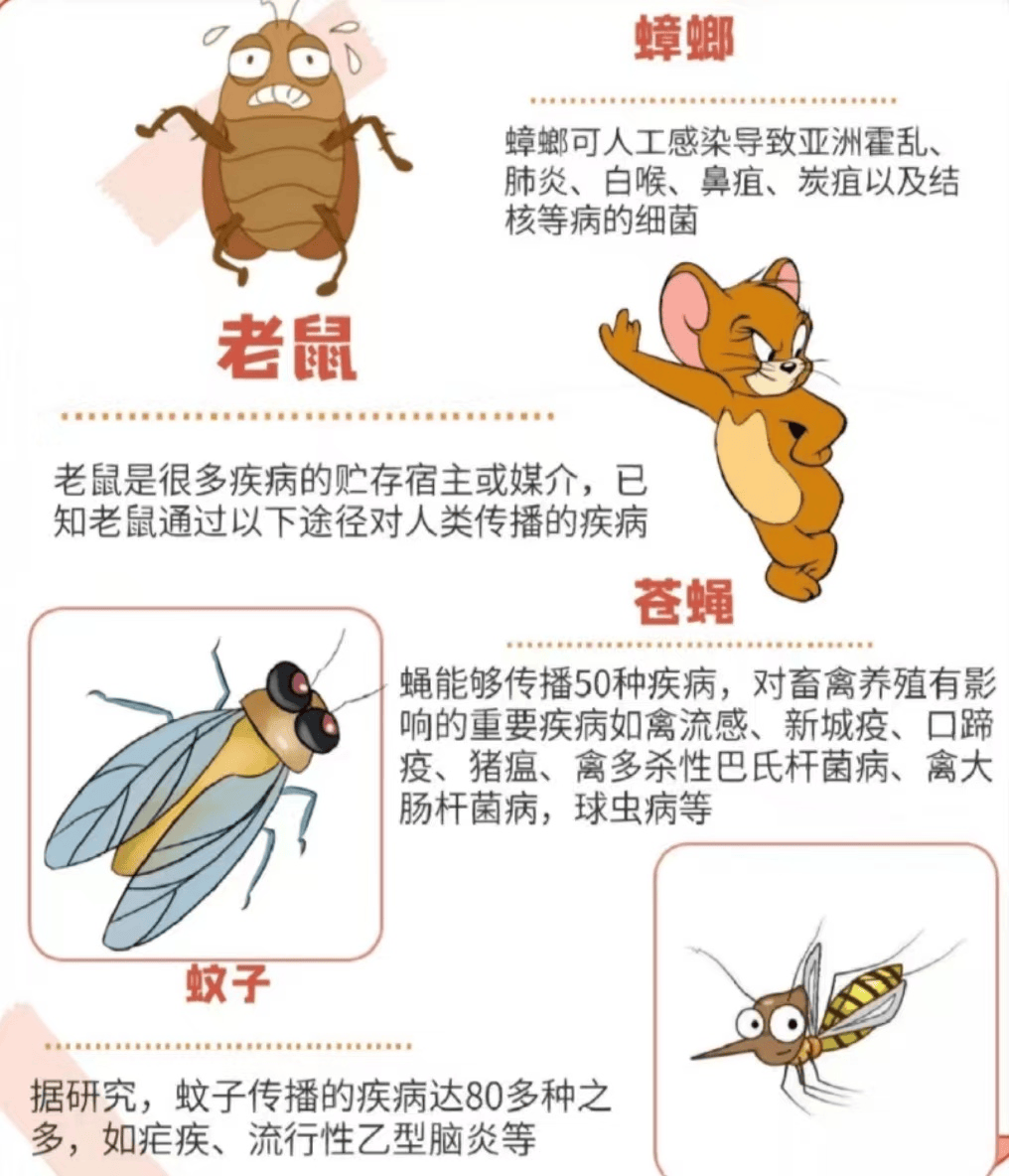 社区生物分布图怎么画图片