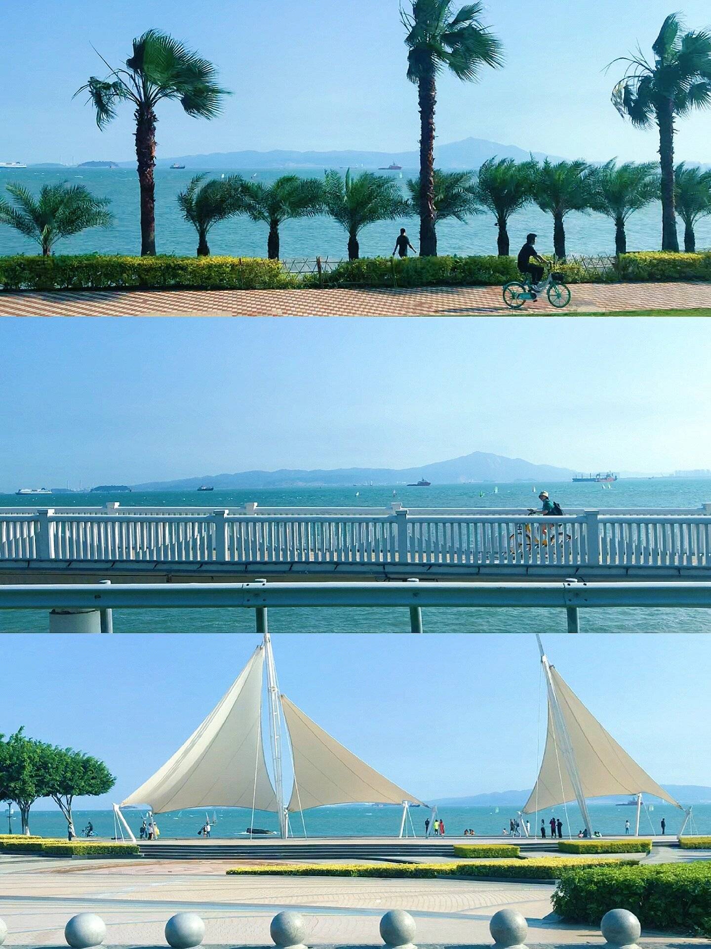 吹爆厦门旅游攻略珍珠湾路线