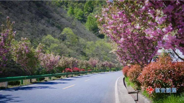 靓图一路美景g345公路