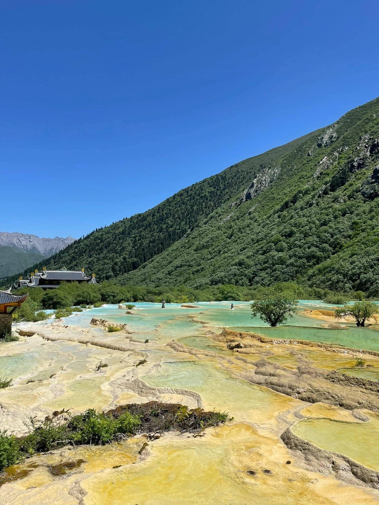 四川到贵阳旅游攻略自驾路线 ,人均1000 的详细安排_黄龙_九寨沟_景点