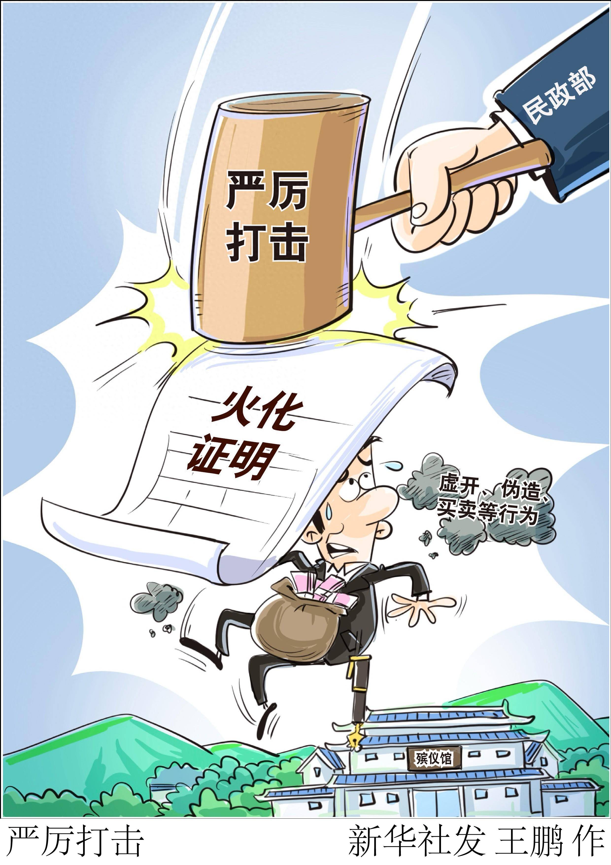 伪造报告漫画图片