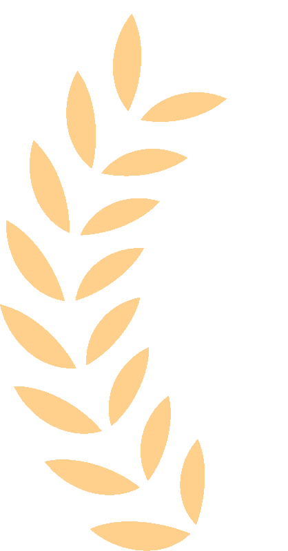 2024第88期全环境立德树人国家安全人人有责