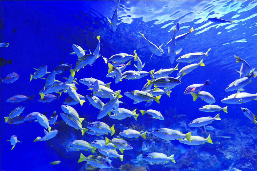 在日照get顶级快乐简直易如反掌