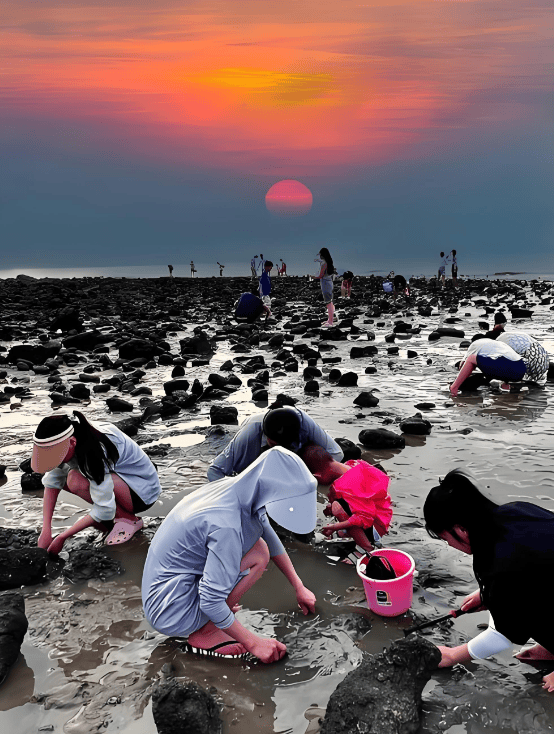 文昌高隆湾赶海图片