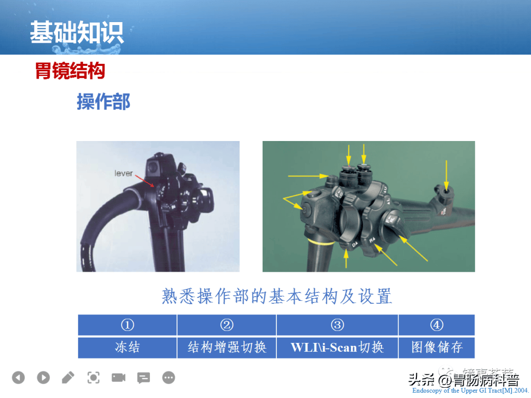 胃镜的结构图图片