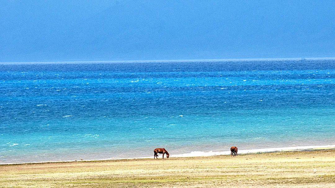 童话新疆61天山以北10日s21s101独库公路喀纳斯禾木