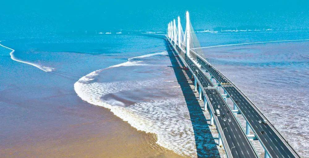 绍兴滨海新区官宣好消息