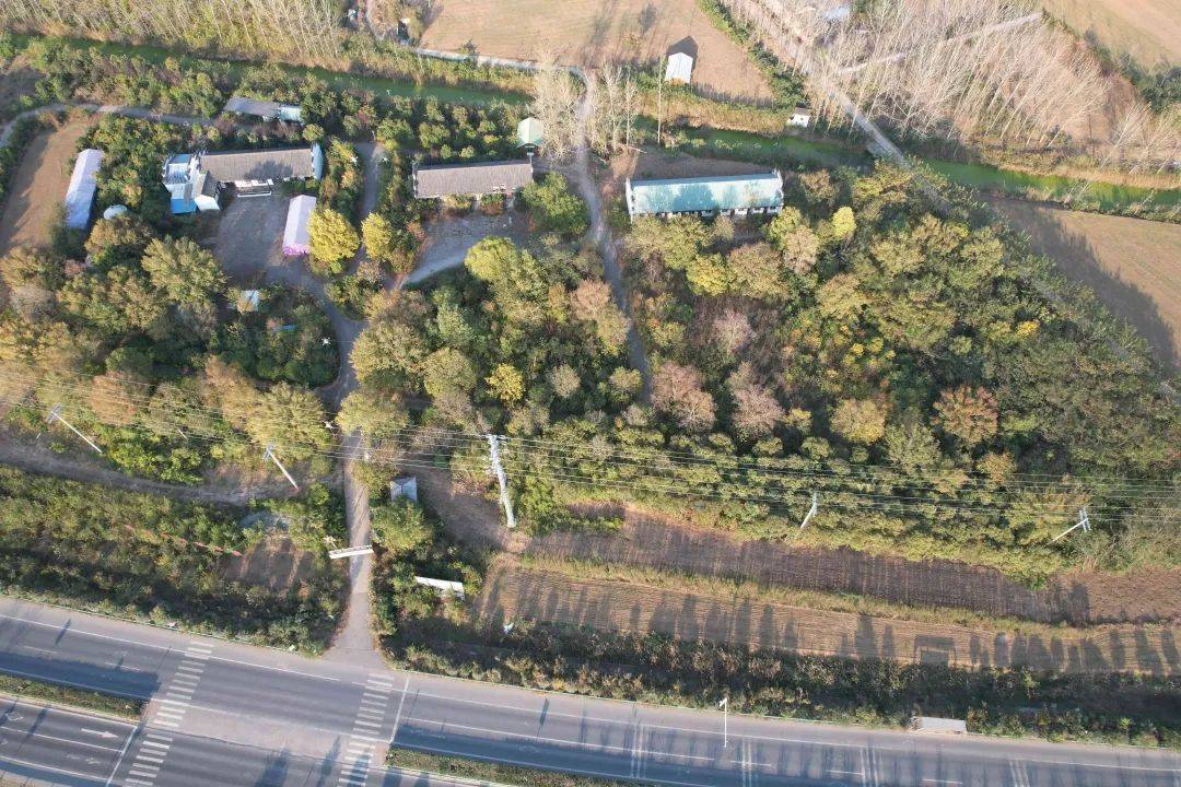 起拍超1400万蒙城2家公司被拍卖