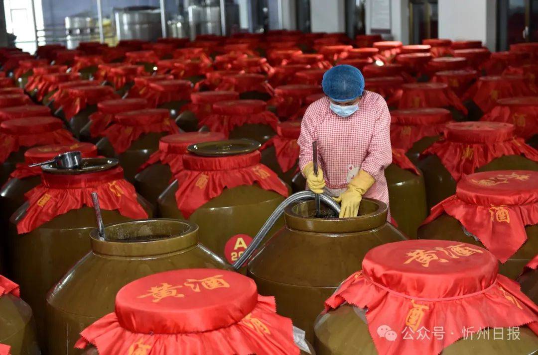 打造北方黄酒之都看代县如何酿好这坛老酒