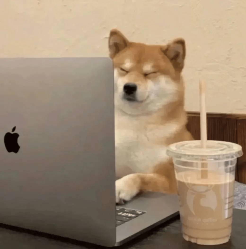 小姐姐你表情包