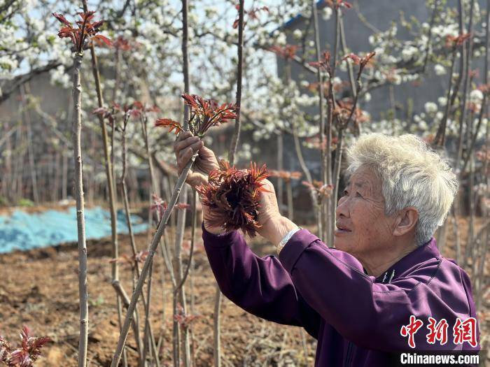 杨馥宁图片