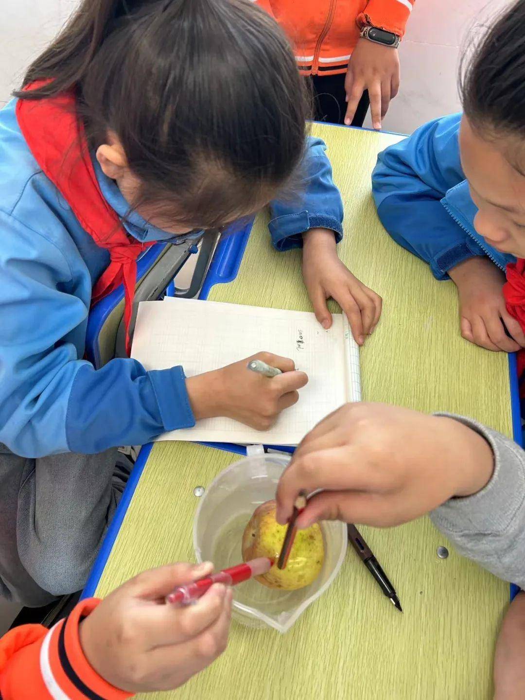 未央区雷寨小学五年级进行数学《测量不规则物体的体积》实践活动