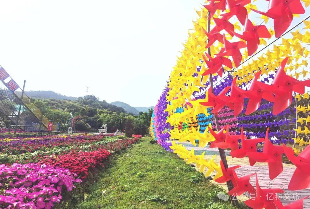 泉州鲜花港 门票图片