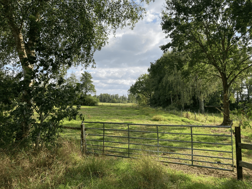 攻玉之术 / 远洋:从现代性视角重新认识弗罗斯特丨《当代·诗歌》_生