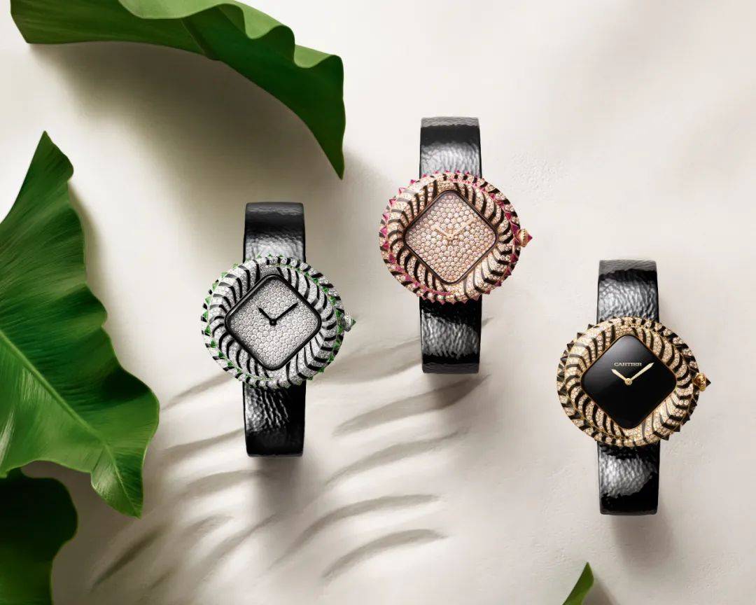 午夜震撼!又被腕表圈壕到了