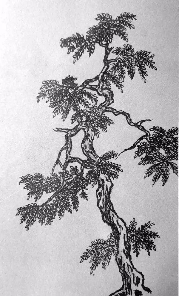 素描名画三棵树图片