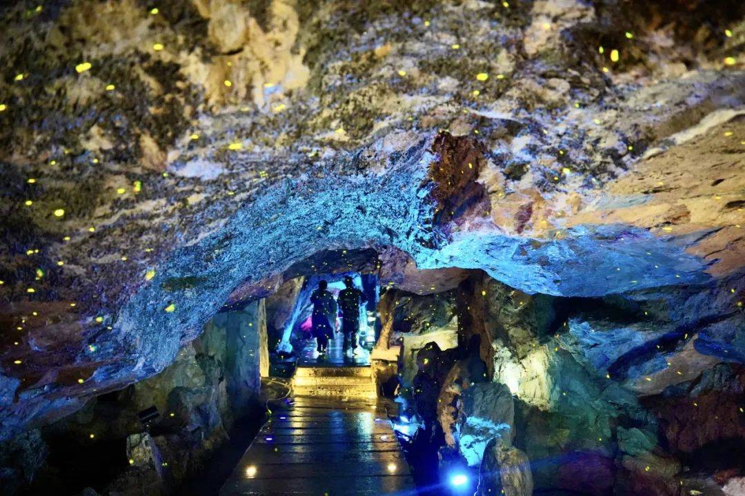 跟着课本游双龙 神奇溶洞探奥秘——浙师大附小四年级春季研学