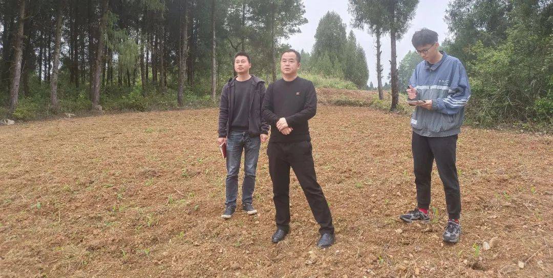 长制暨松材线虫病分析研判会,传达曹勇书记在县委专题会上的讲话精神