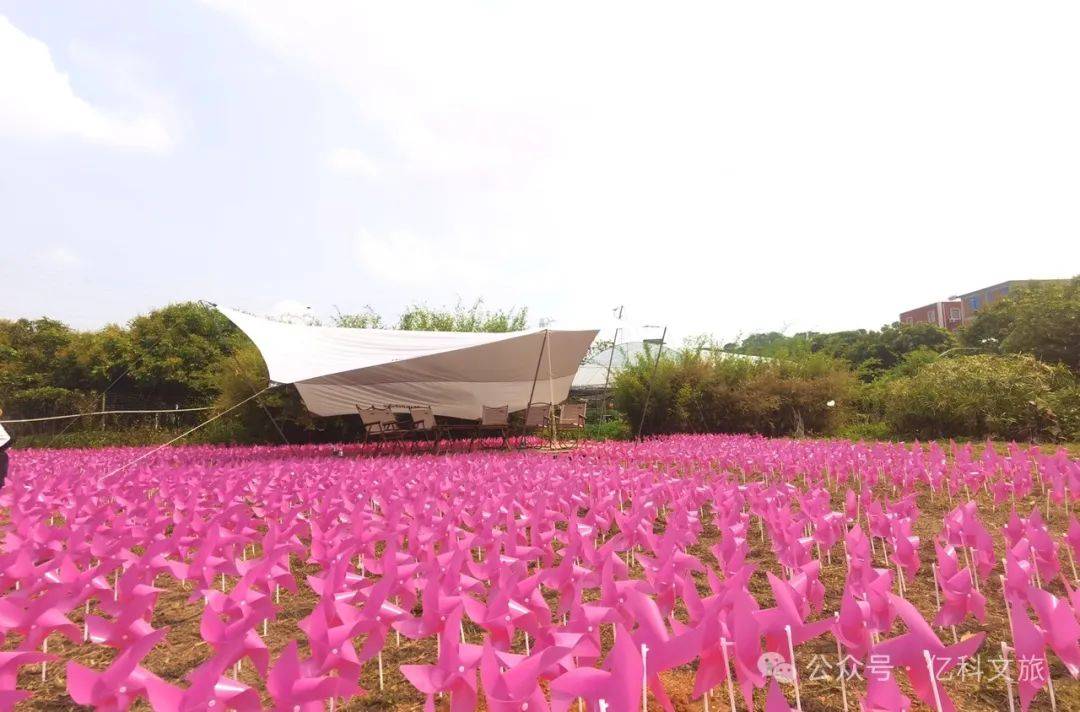 泉州鲜花港门票图片