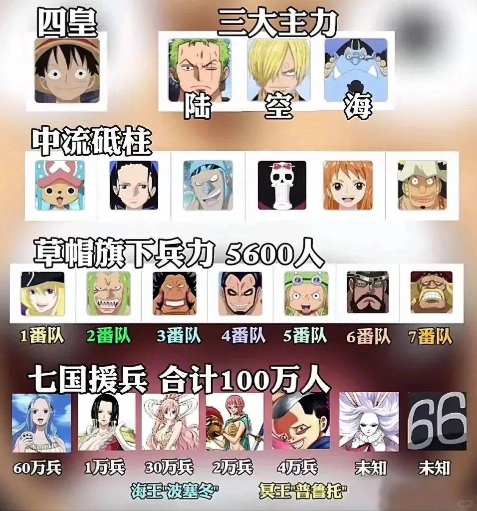 海贼王最强排名官方图片