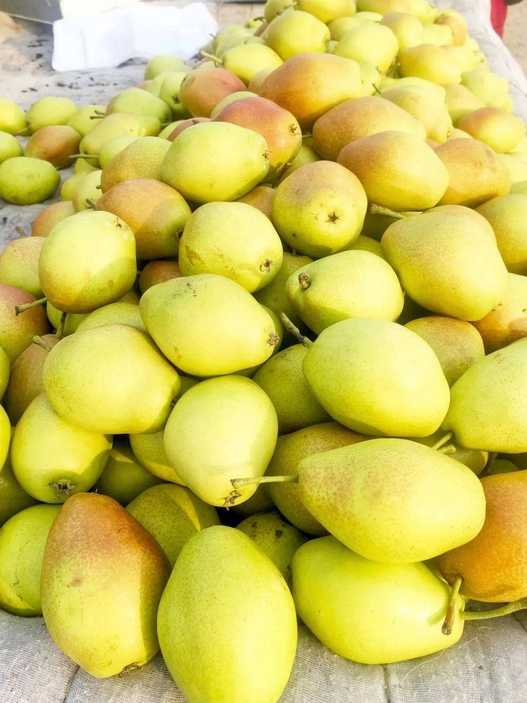 大集里最不缺的就是新鲜蔬菜水果,好多摊主都是周边村民,卖的菜也都是