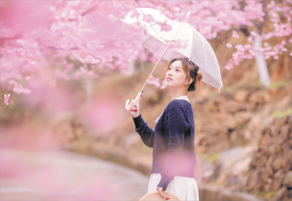 雨中拍摄樱花人像