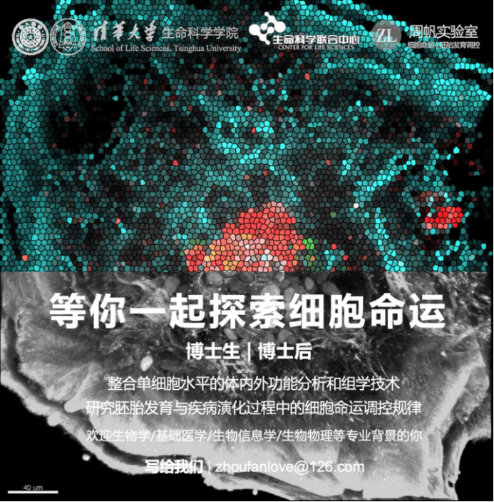 清华大学周帆实验室招聘博士后,科研助理