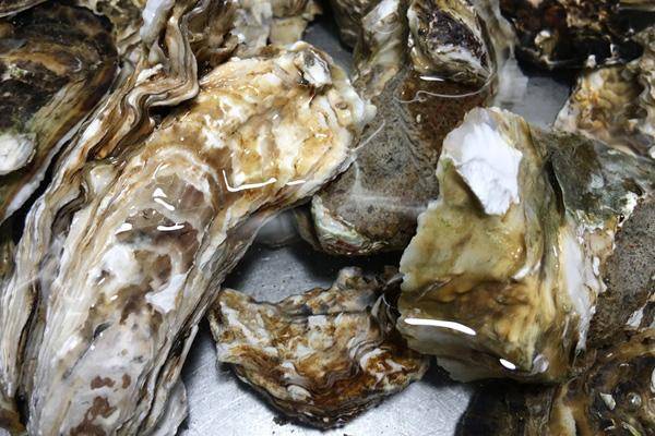 微量元素,能够提高机体免疫力,对男性而言,其补肾的功效更是广为人知