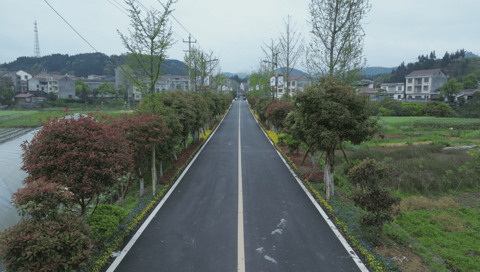 湖南麻阳:推进"湘商回归" "归巢反哺"建家乡