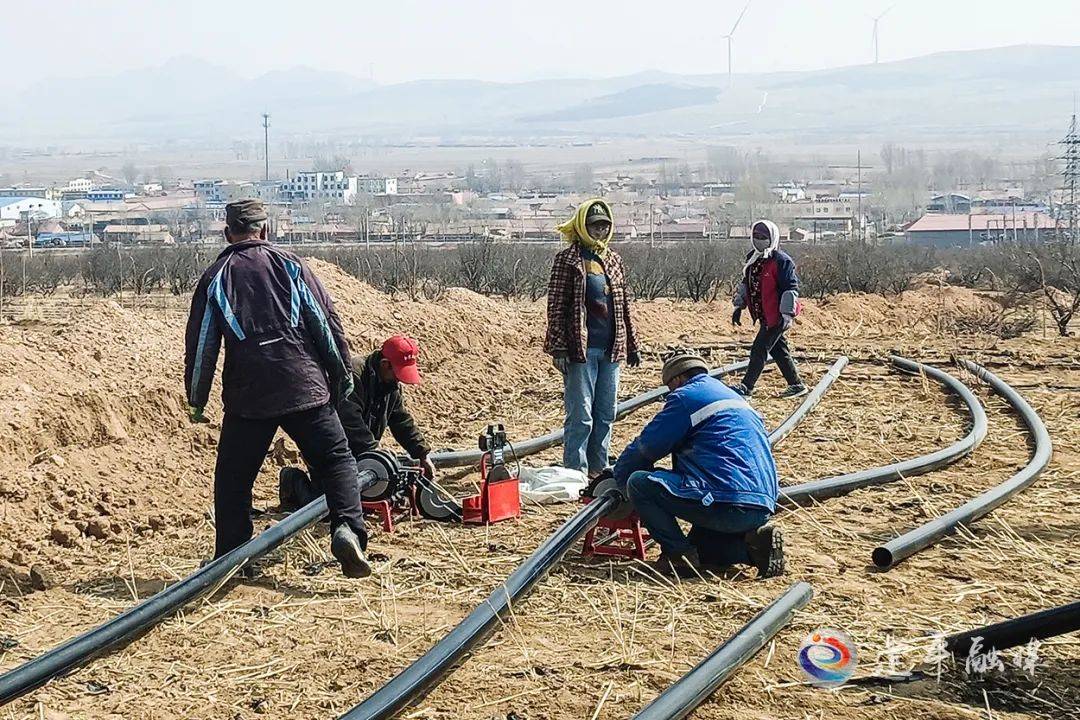 【春耕备耕正当时】奎德素镇:推进高标准农田建设 助力农业提质增效