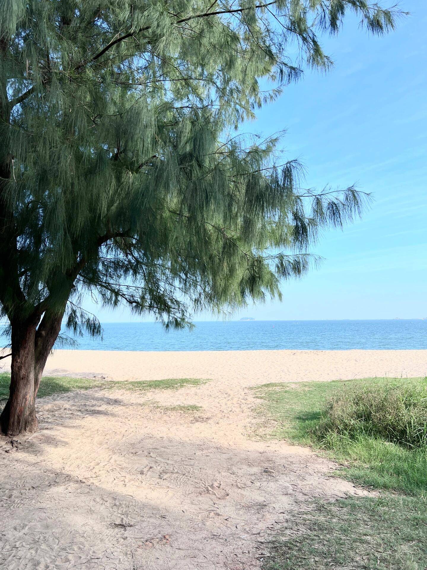 情侣度蜜月旅游5天厦门 ,资深导游在线解惑