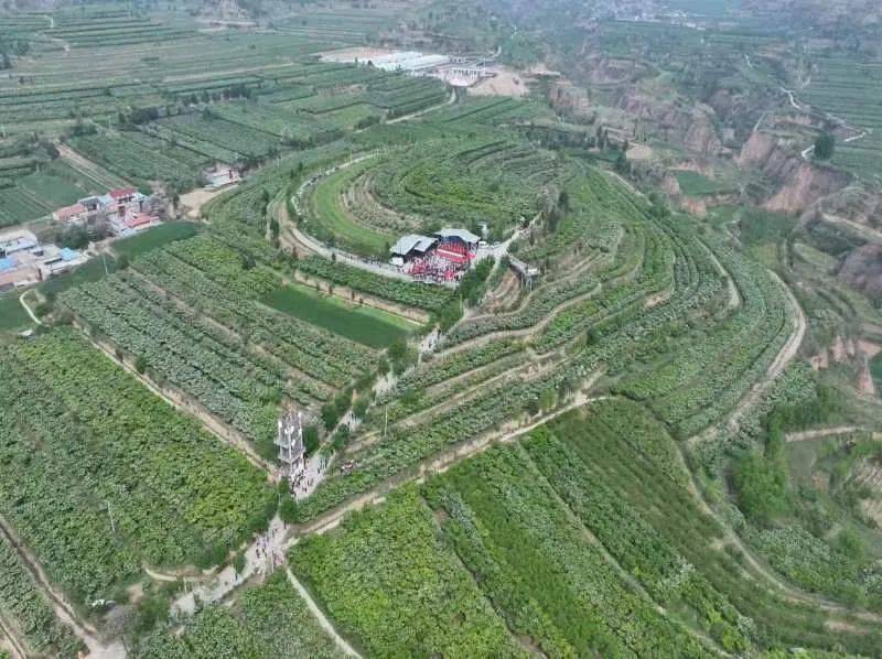 壁纸 成片种植 风景 植物 种植基地 桌面 800_598