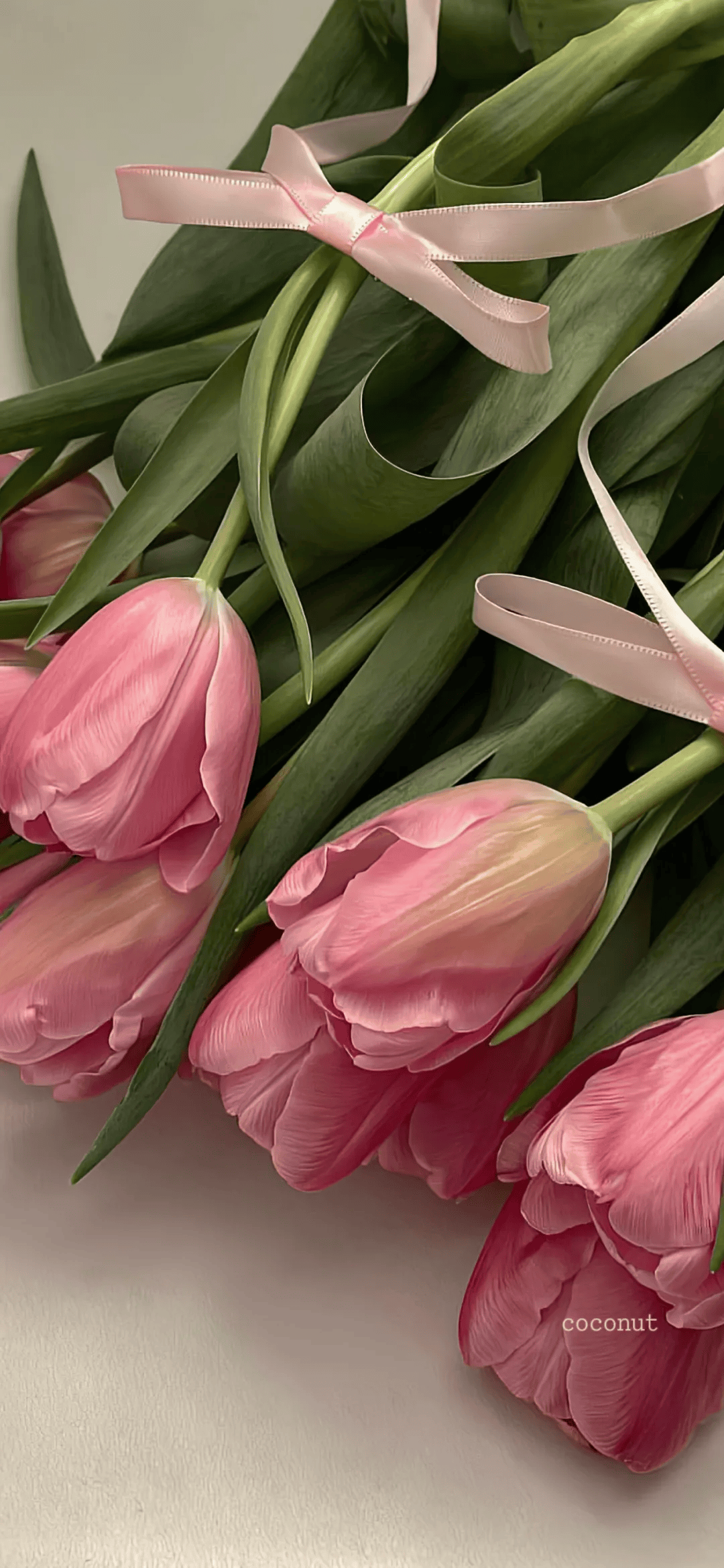 壁纸 | 元气满满的高清壁纸