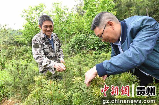 贵州道真:开展护野生动植物调查 保护生物多样性