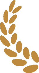 全民阅读暨版权宣传活动启动仪式在洛南县图书馆举行_文化_服务_张磊