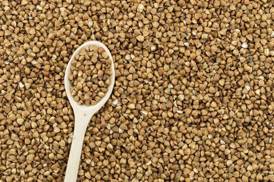 劝你多把它当主食,健康价值不得了!