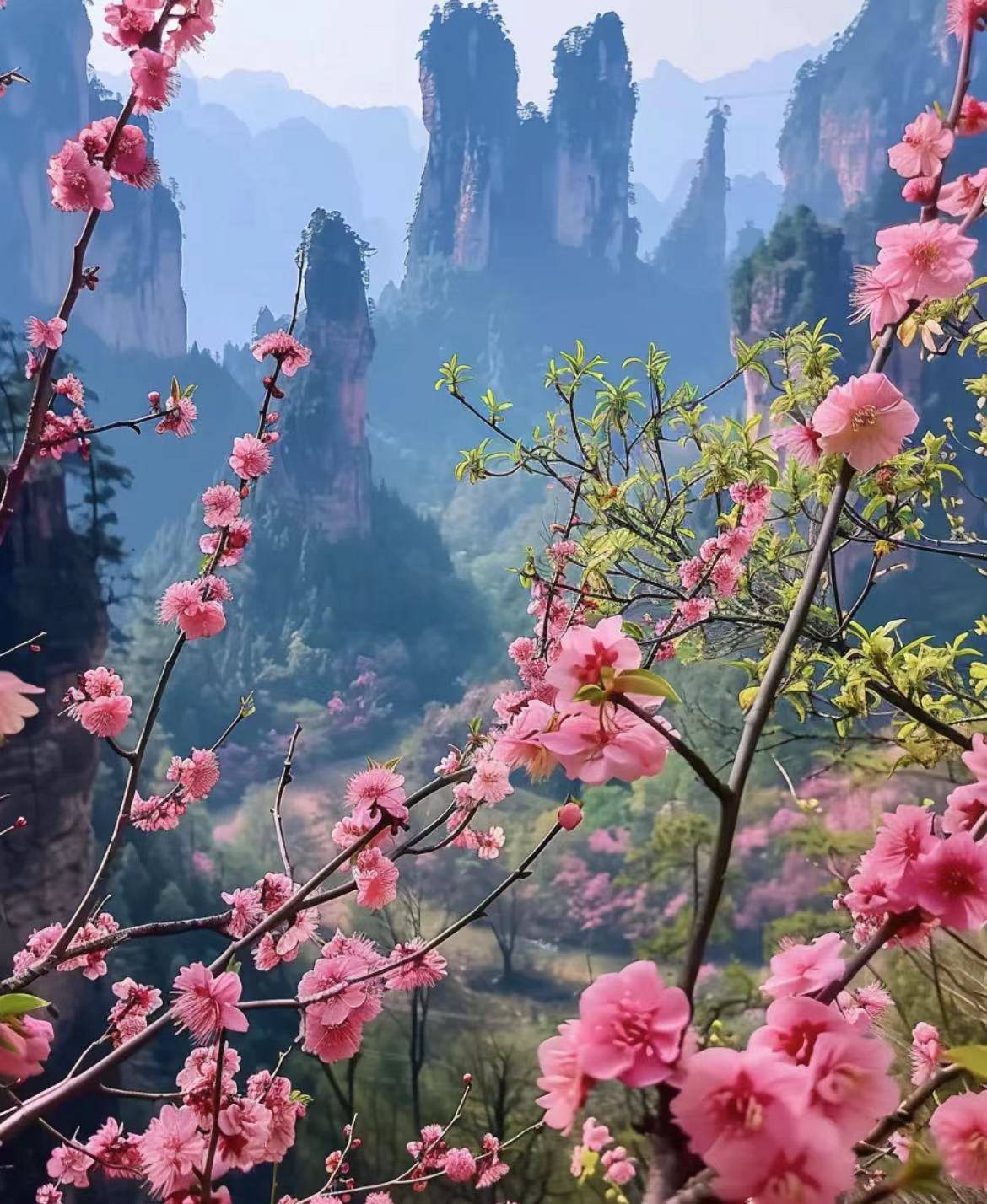 邯郸到张家界旅游报价表 ,必去景点攻略,打卡人间仙境!