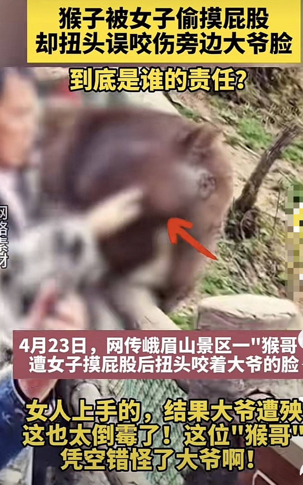 阿姨摸猴屁股大爷"躺枪"被咬?峨眉山景区回应:近期无此事
