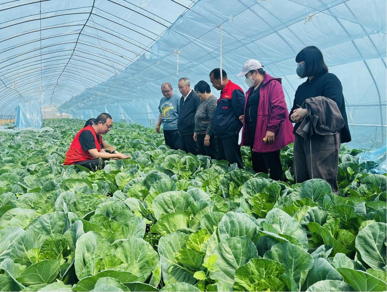 河北涞水:培养高素质农民 助力农民科技兴农