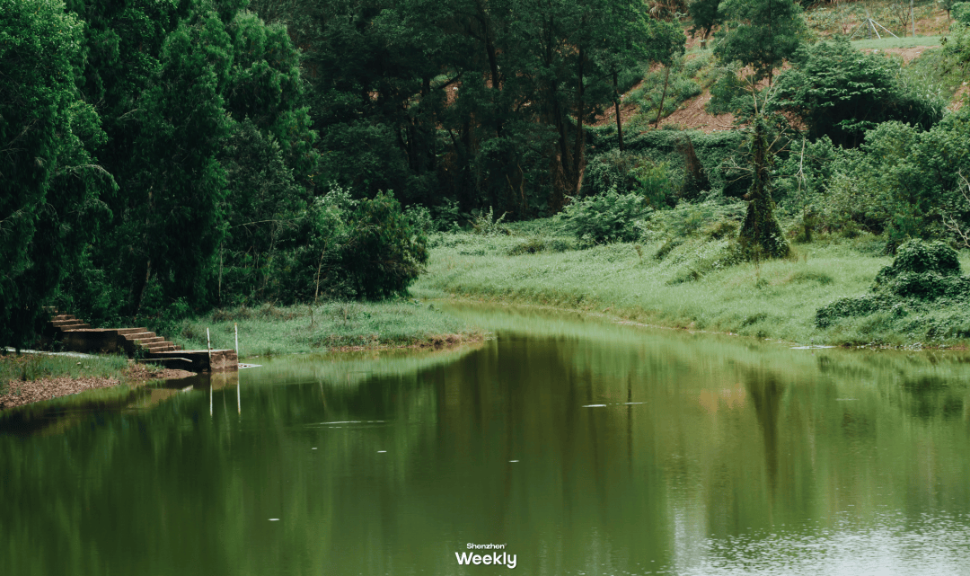 别再下雨了,想去逛深圳新开放的「银丝带」_版画_湖水_观澜
