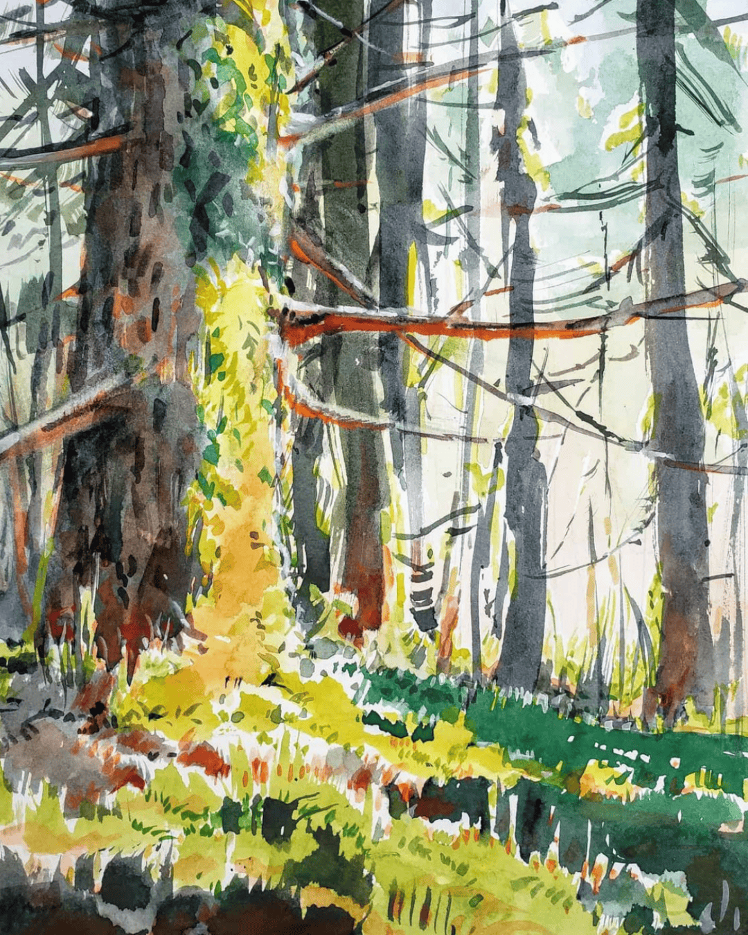 美籍华裔水彩画家——钟永宏作品欣赏(森林篇一)
