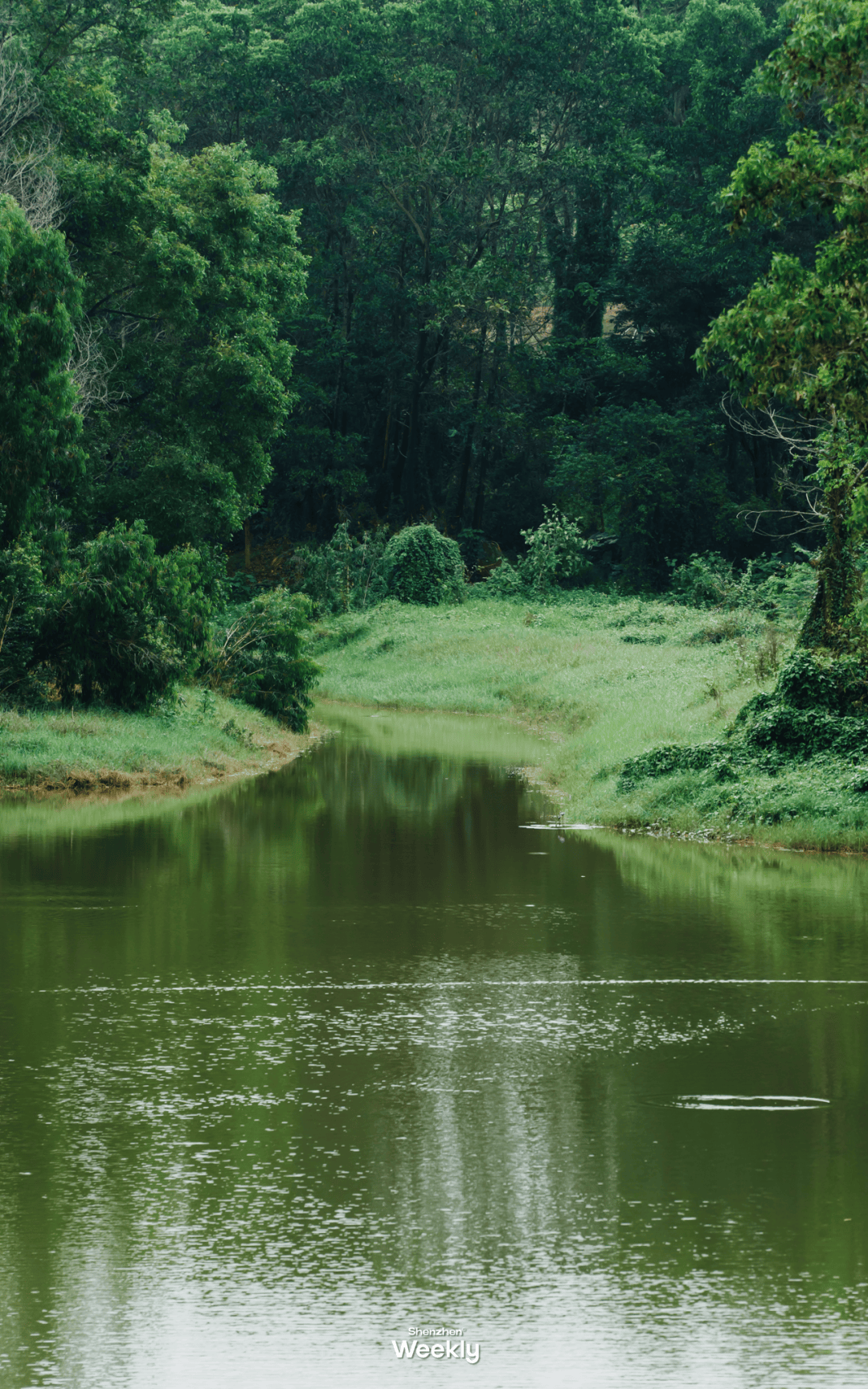别再下雨了,想去逛深圳新开放的「银丝带」