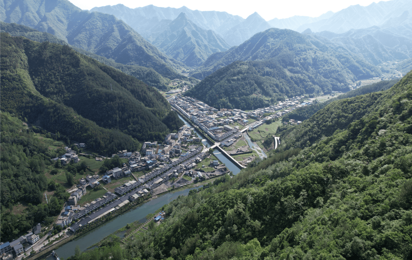 城口县高楠镇:春日好"丰"景,增收主力"菌"