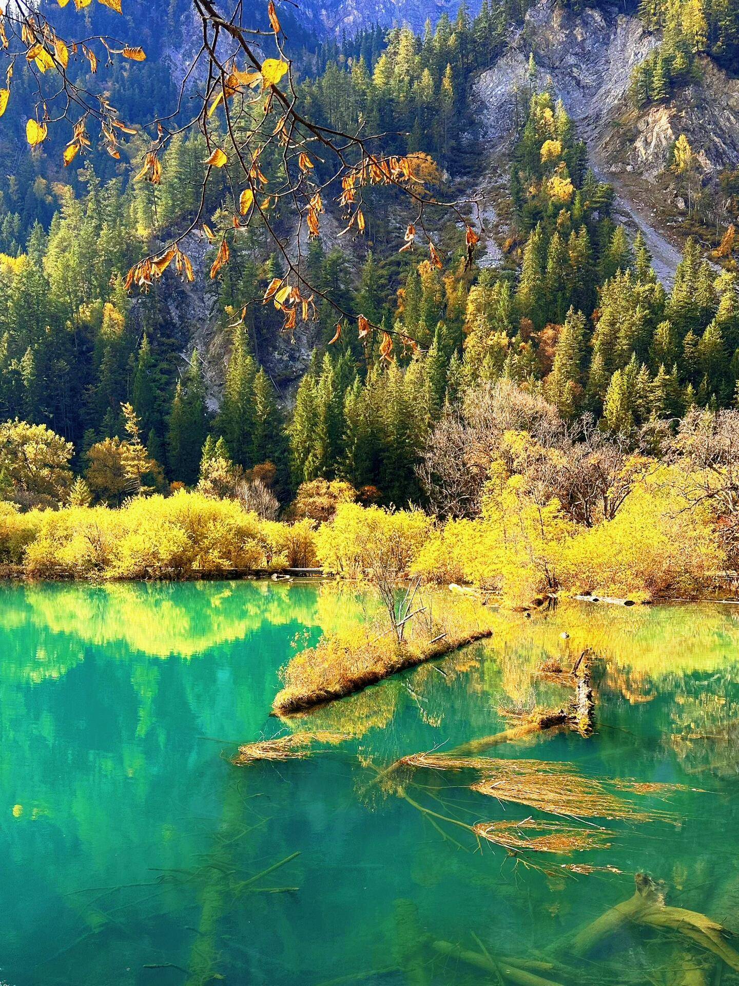四川旅游九寨沟 ,本地人都这样玩